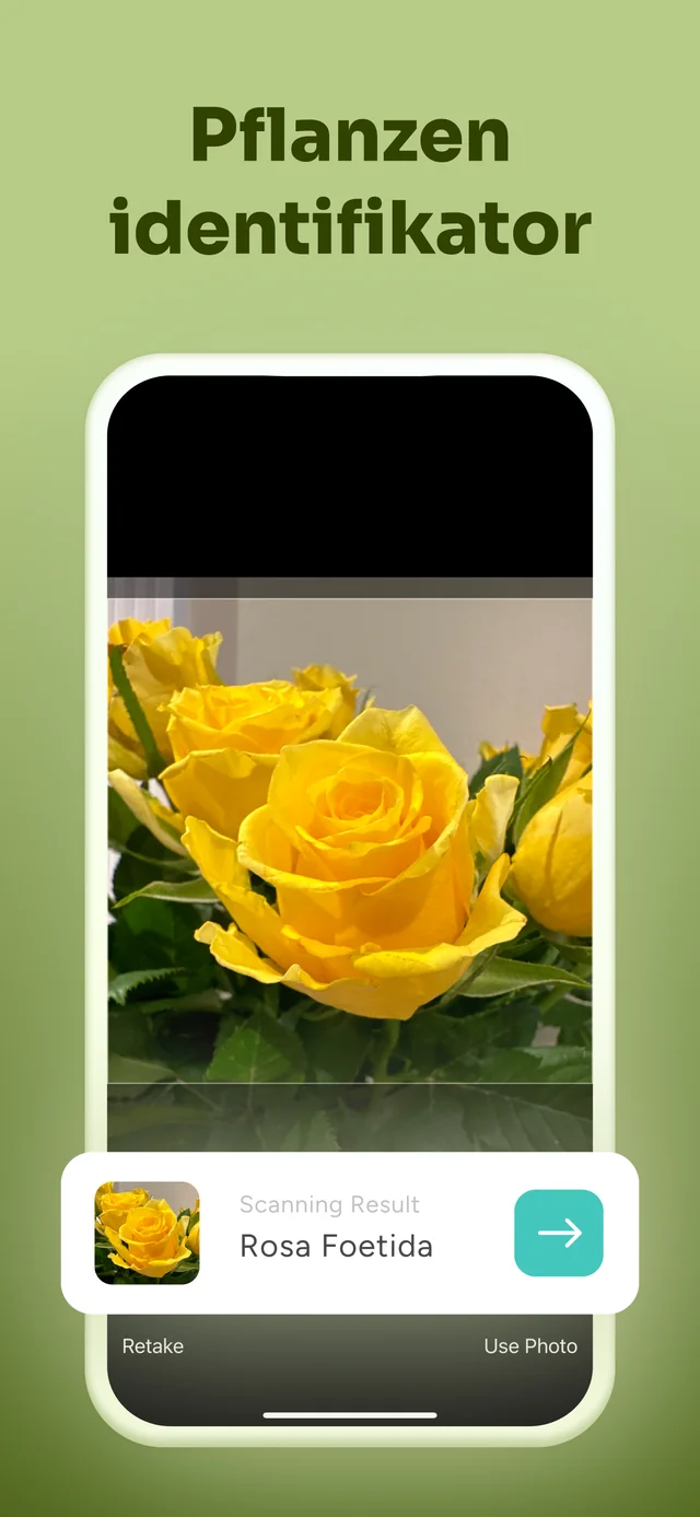 Aus einem Foto bestimmen — FloraFlick